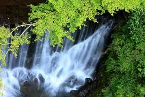 宿の前を流れる清流・藤木川
