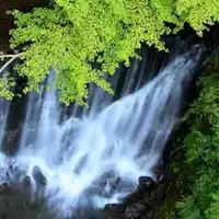宿の前を流れる清流・藤木川