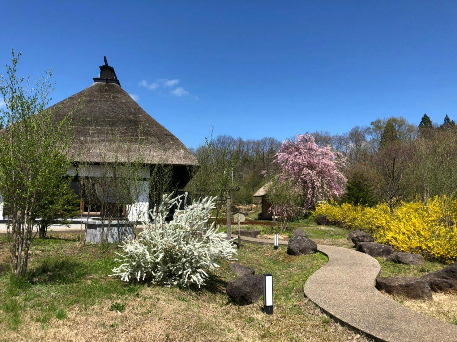角館山荘　侘桜