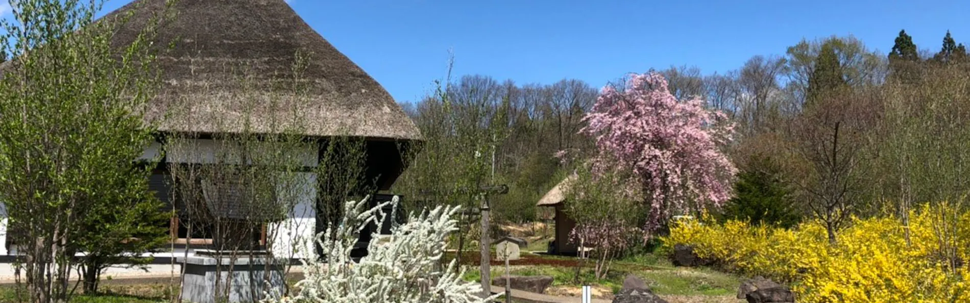 角館山荘 侘桜