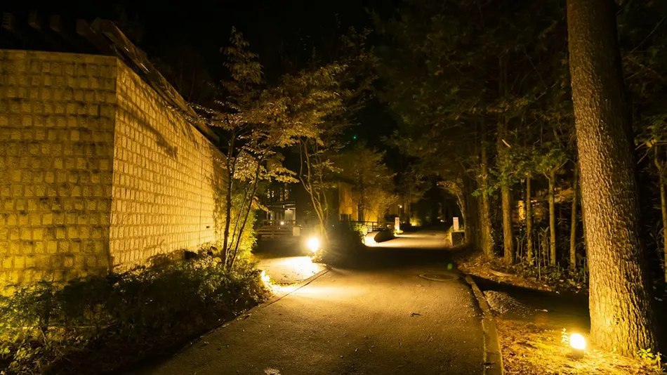 Forest Village