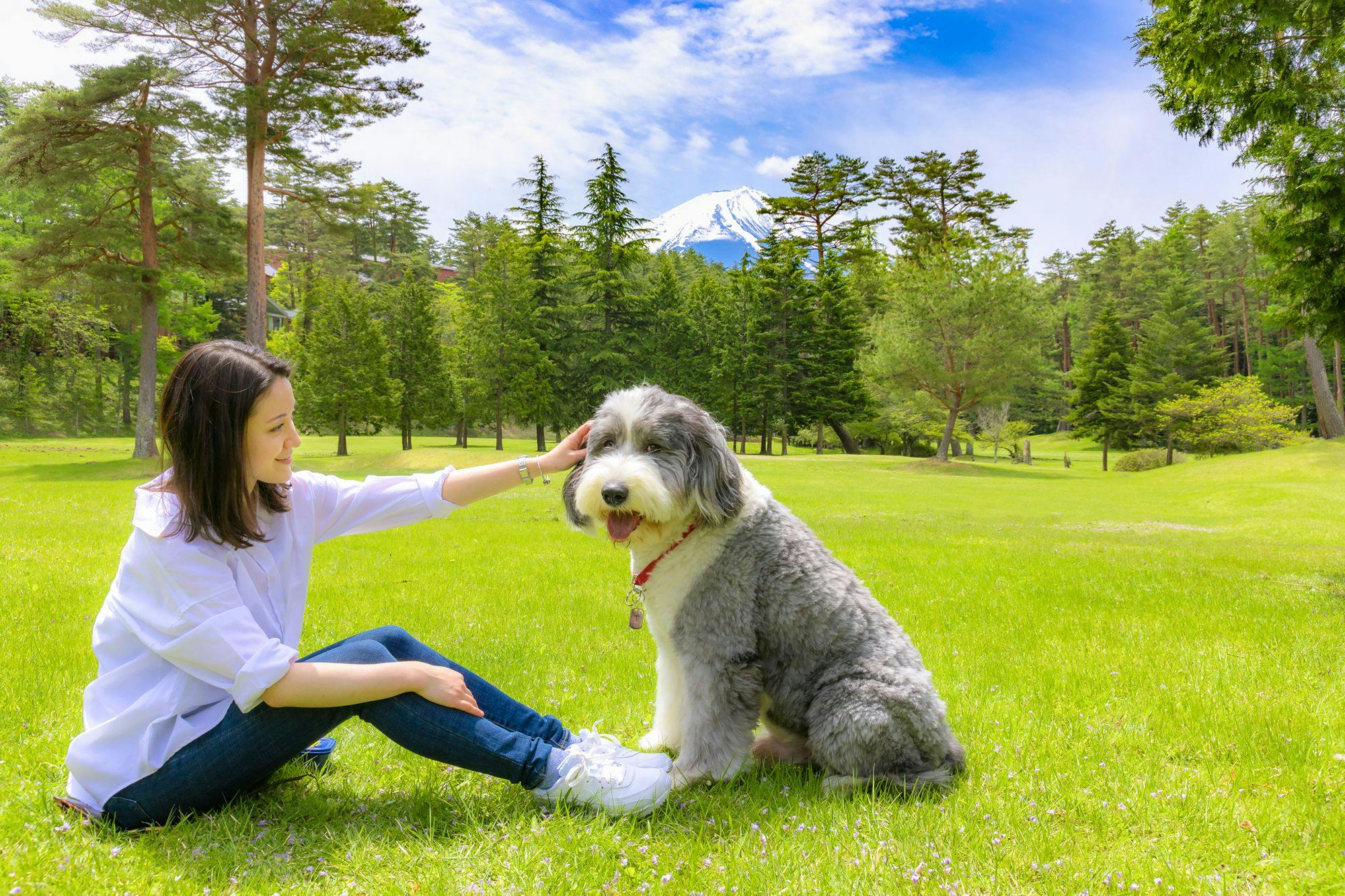 フォレストヴィレッジ