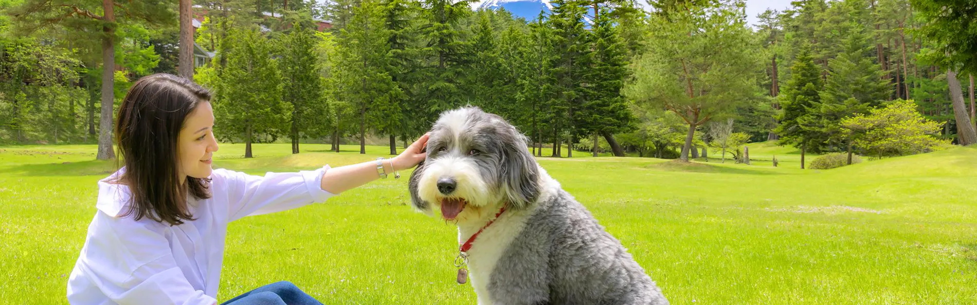 フォレストヴィレッジ