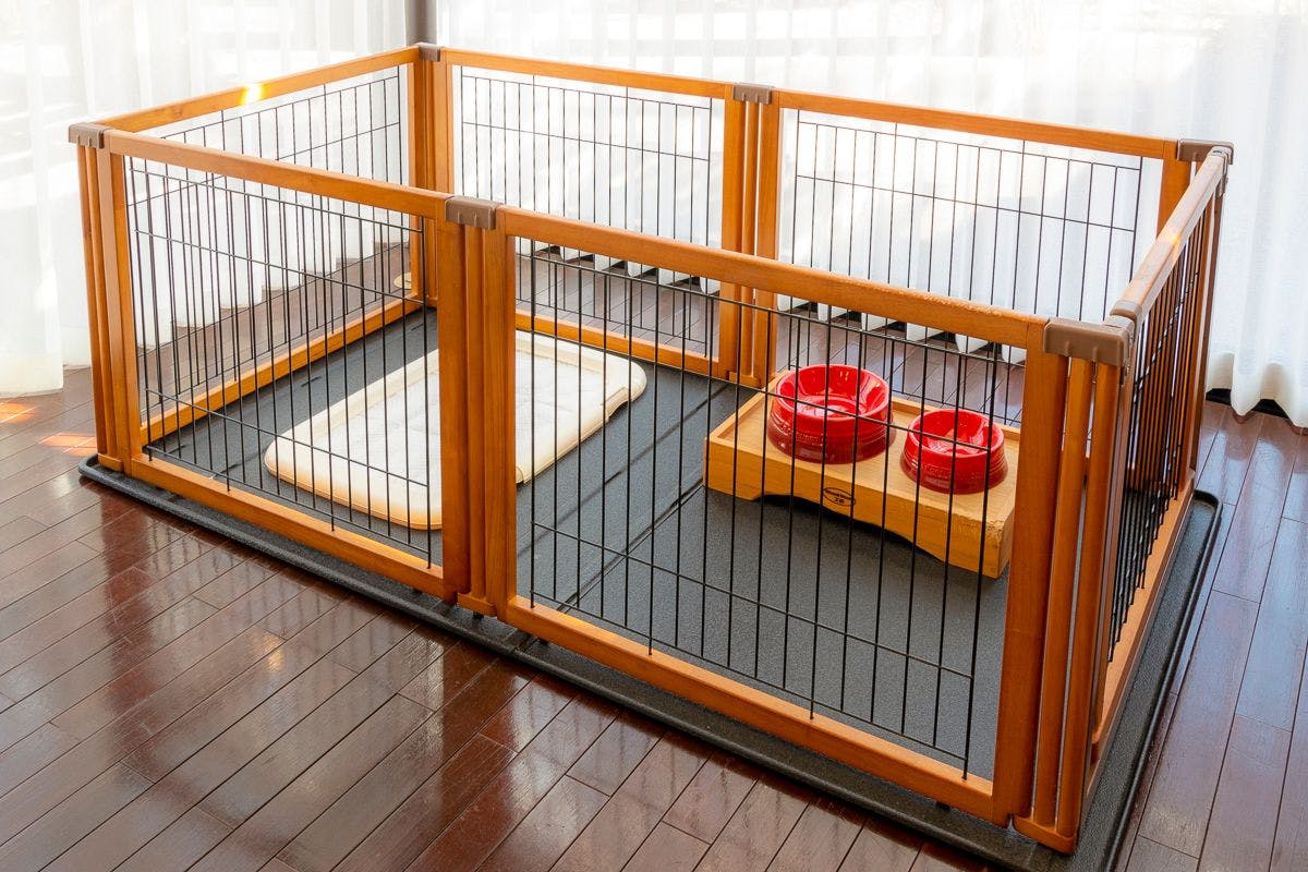 フォレストヴィレッジ