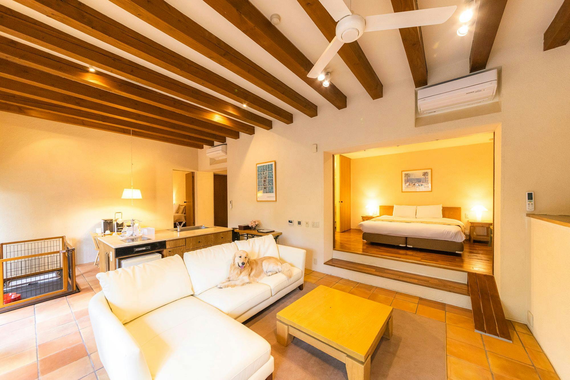 ห้องนั่งเล่น (สุนัขขนาดใหญ่)