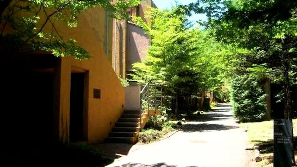 Forest Village