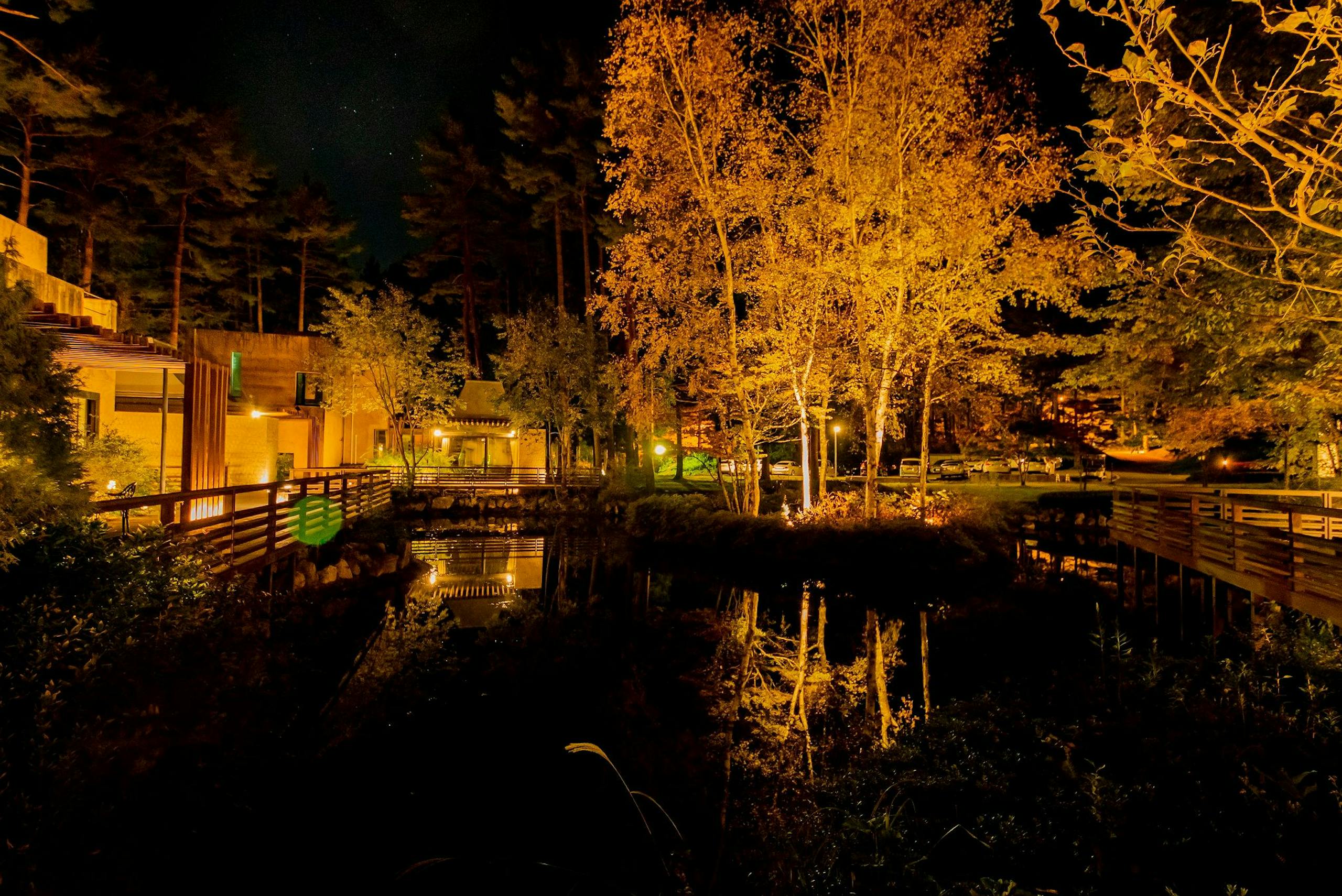 外観夜景
