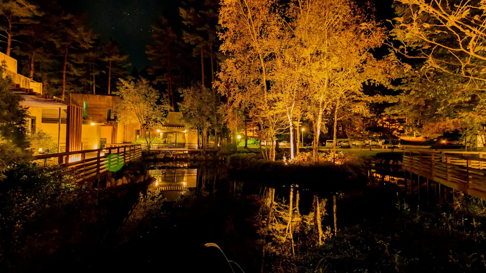 Forest Village