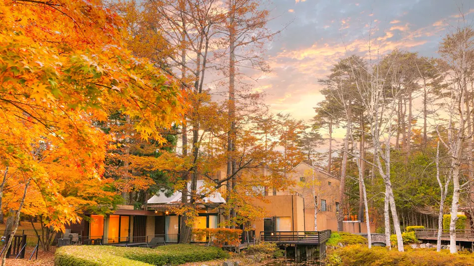 Forest Village