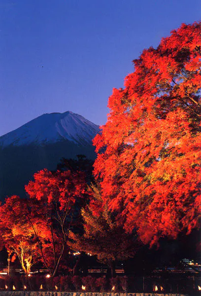 Festival Daun Merah Kawaguchiko