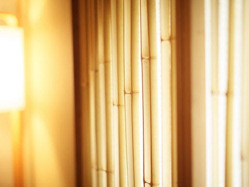 和紙を通った光がお部屋にこぼれてきます。