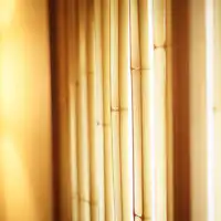 和紙を通った光がお部屋にこぼれてきます。