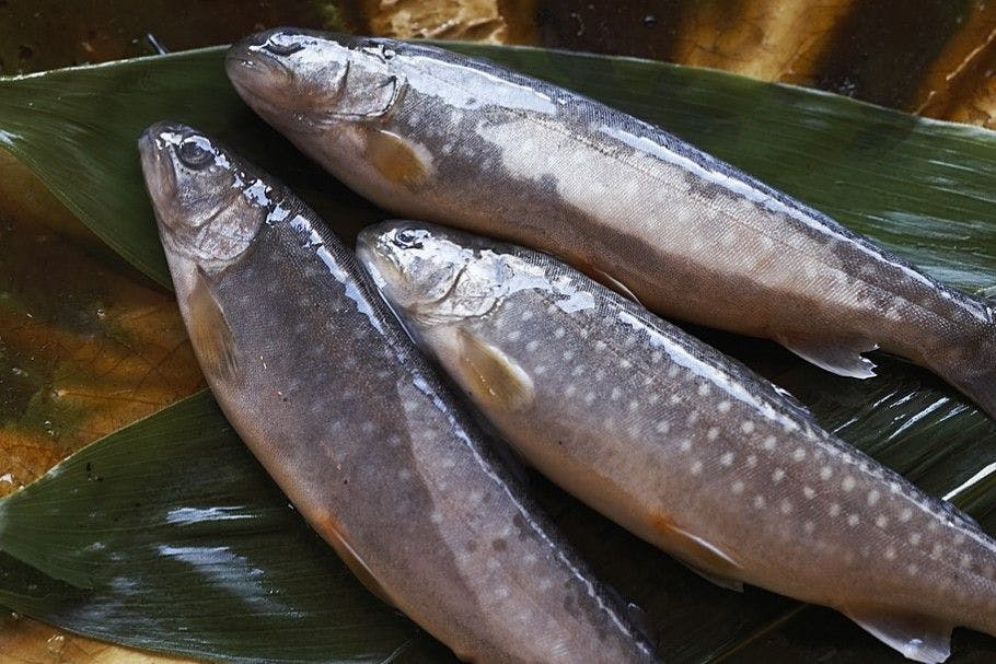 那須別邸 回