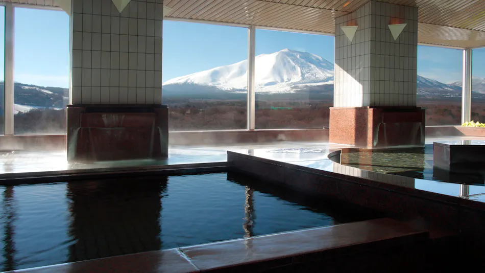 Villa Kita-Karuizawa Elwing