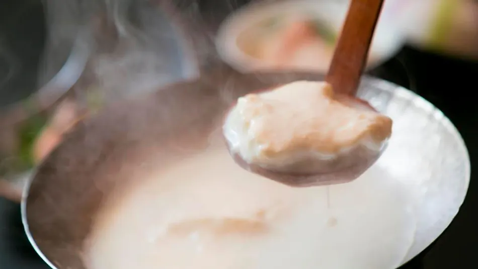 Ureshino Onsen - One of Japan's Three Great Beautifying Hot Springs Ryokan Yoshidaya -RYOKANYOSHIDAYA-