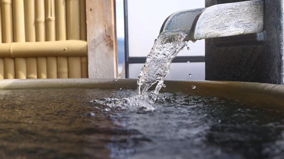 Asama Onsen Hotel Tamanoyu