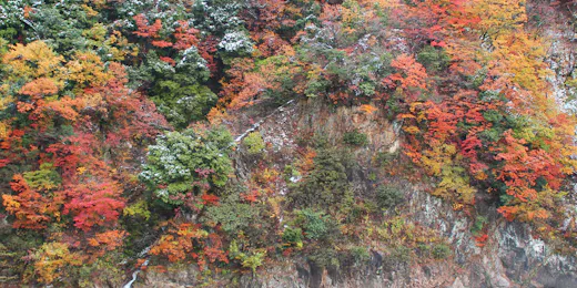 宇奈月温泉 延楽