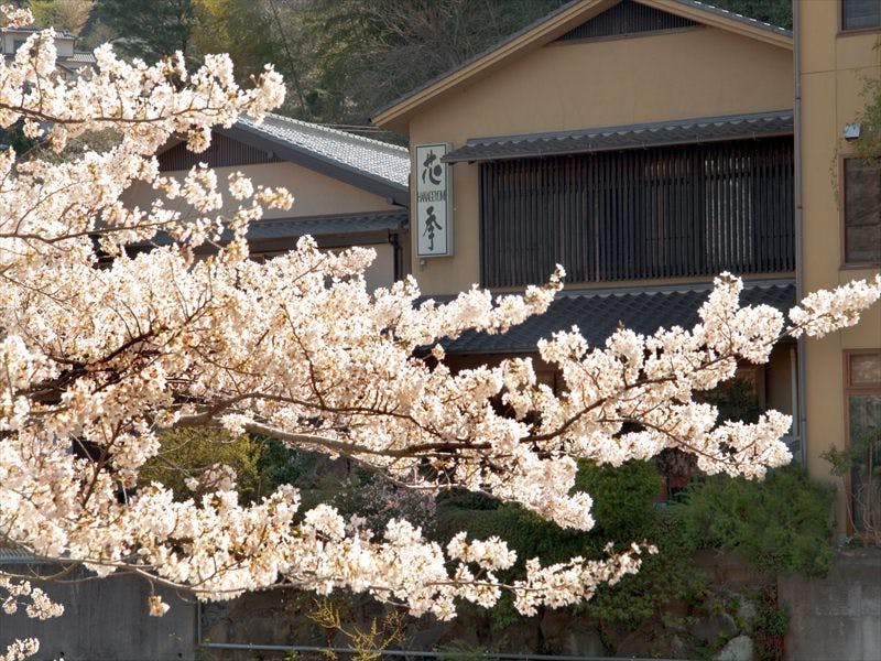 桜の頃の外観