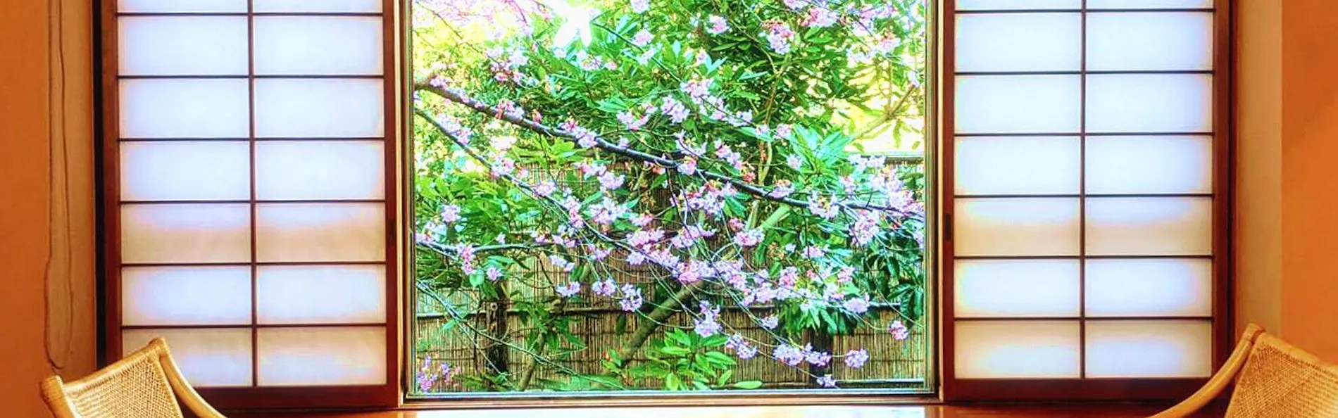 伊豆高原 城ヶ崎温泉 花吹雪
