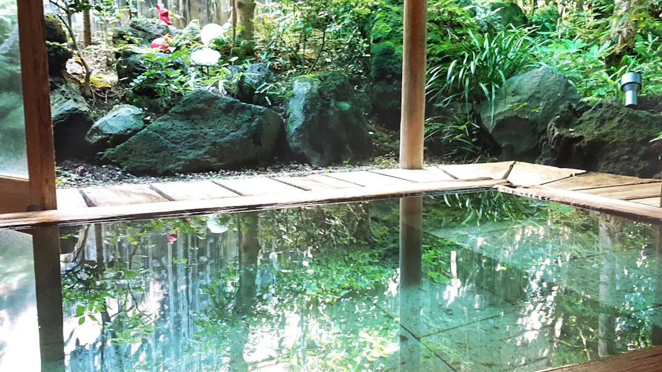 Izu Kogen Jogasaki Onsen Hana Fubuki
