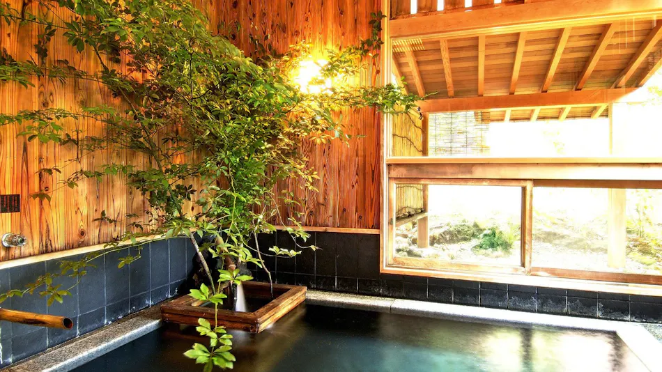 Izu Kogen Jogasaki Onsen Hana Fubuki