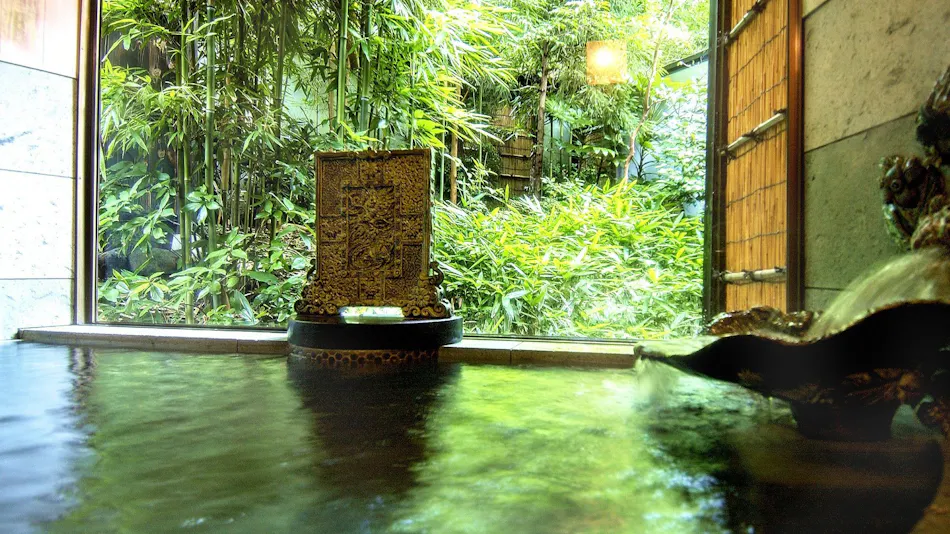 Izu Kogen Jogasaki Onsen Hana Fubuki