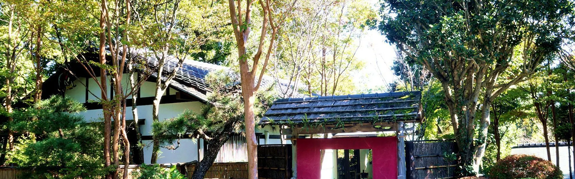 伊豆高原 城ヶ崎温泉 花吹雪