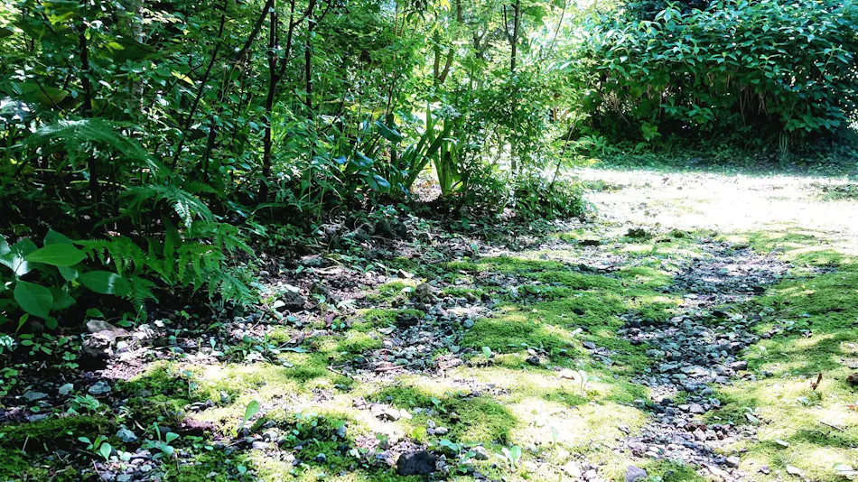 Izu Kogen Jogasaki Onsen Hana Fubuki