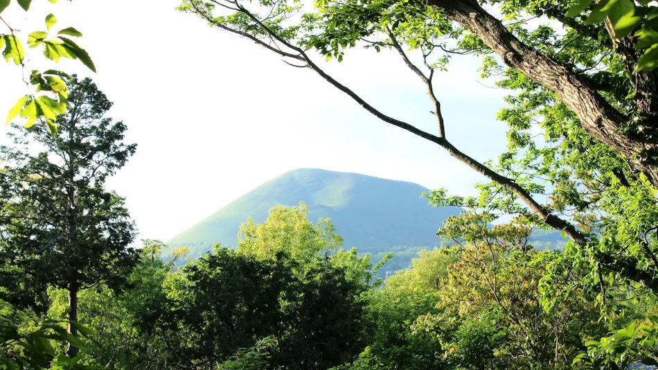 Izu Kogen Jogasaki Onsen Hana Fubuki