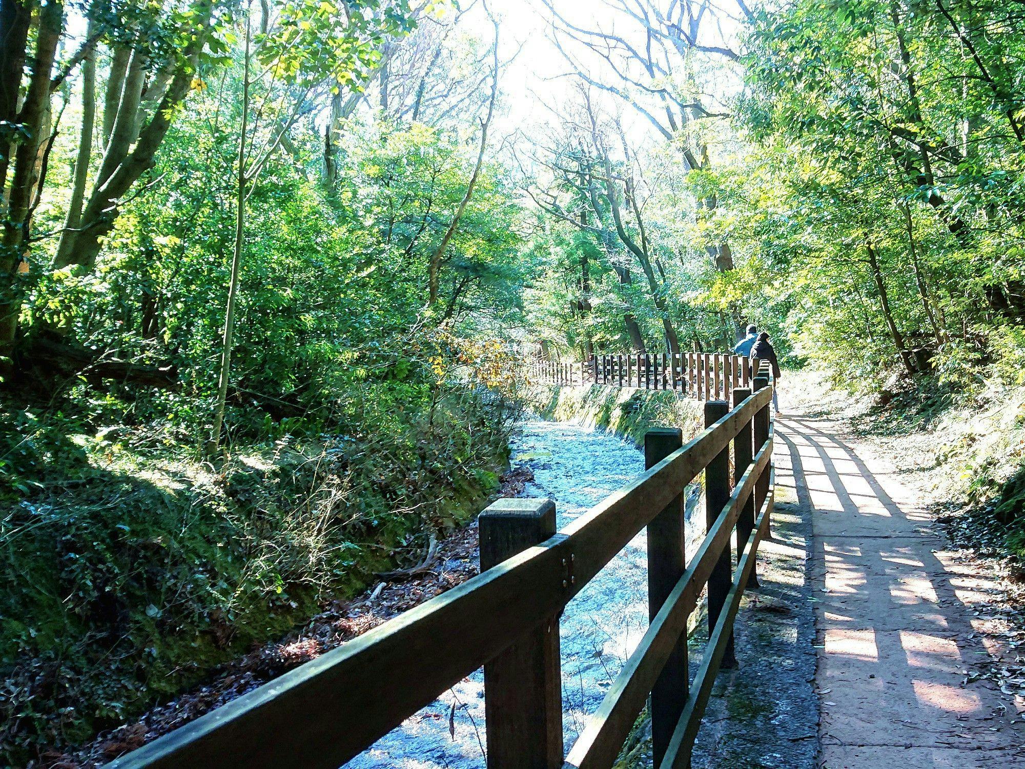 เส้นทางศึกษาธรรมชาติ