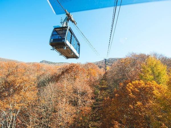 【空中散歩】紅葉狩りをしに秋の空中散策