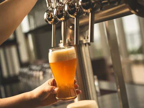 【스탠다드】오리온 스테이 / 오션 윙(조식·웰컴 맥주 포함)