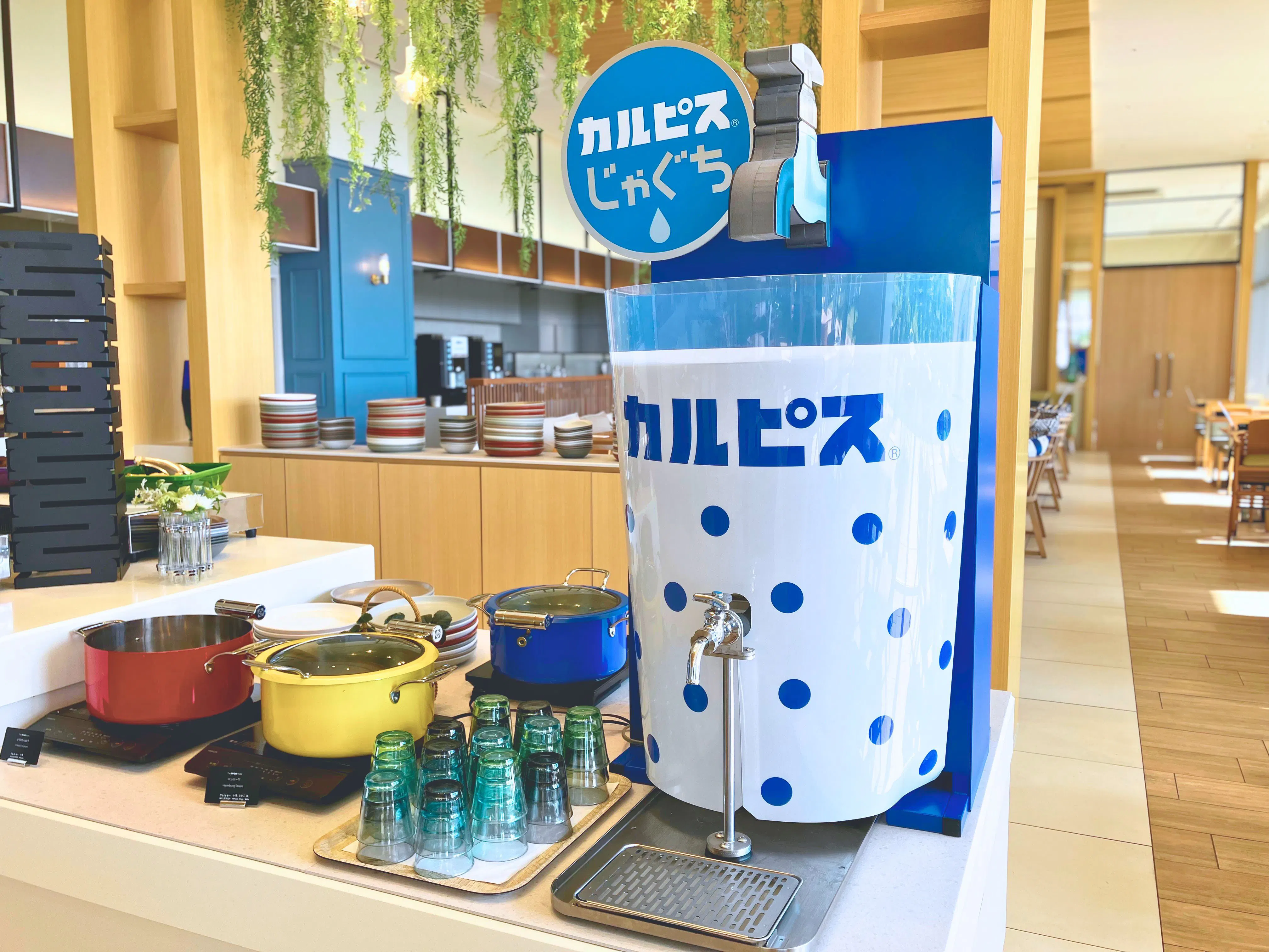 Paip Calpis