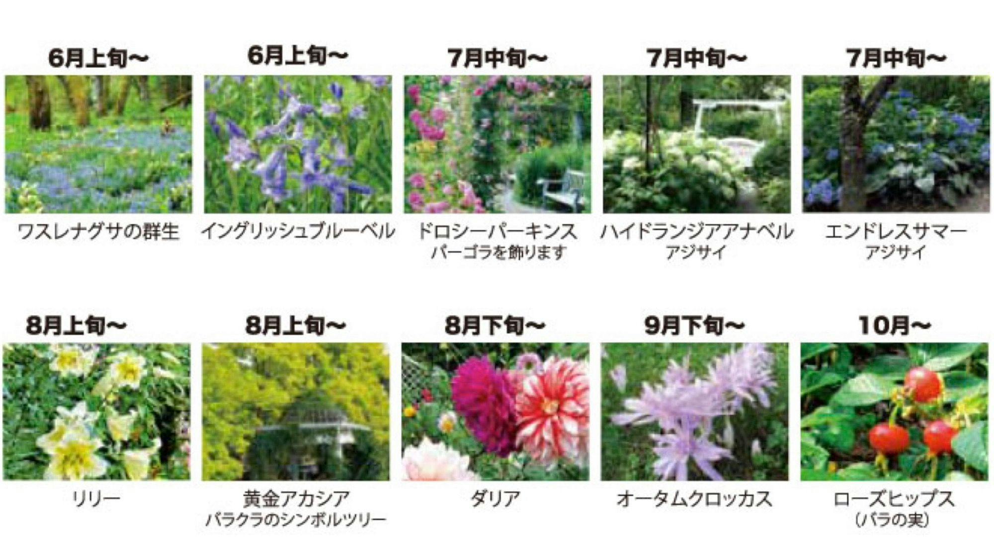 日本初の本格的英国式庭園・蓼科高原バラクラ イングリッシュ ガーデン入園券付／1泊2食付