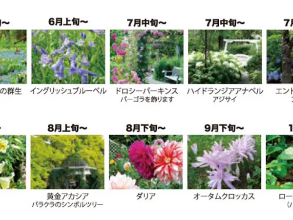 日本初の本格的英国式庭園・蓼科高原バラクラ イングリッシュ ガーデン入園券付/1泊2食付