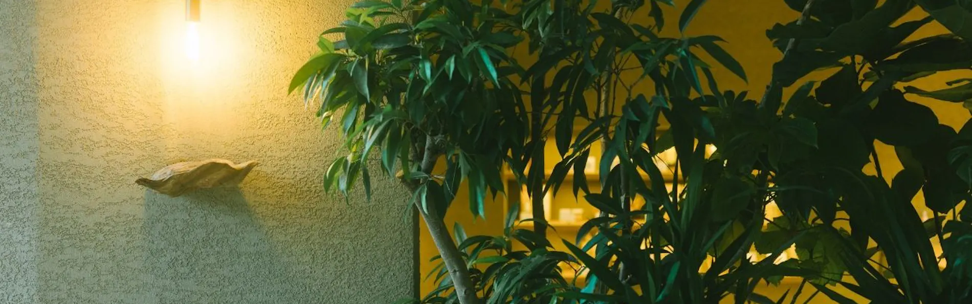 HOTEL&湖邸 艸花 -そうか-