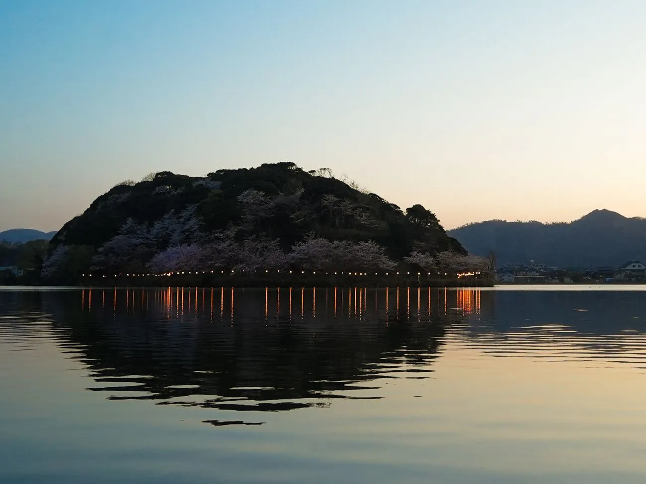 花篝映照湖面，離館「湖」的櫻花。