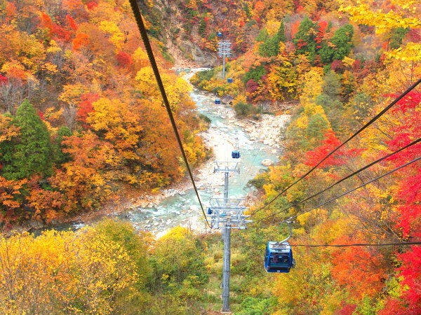 当館から車で30分苗場スキー場ドラゴンドラ
