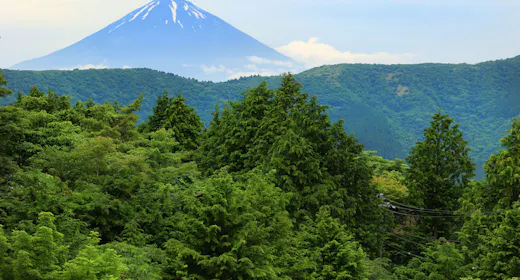 【2024年3月リニューアル】何もしない贅沢を・・・然満喫スタンダードプラン