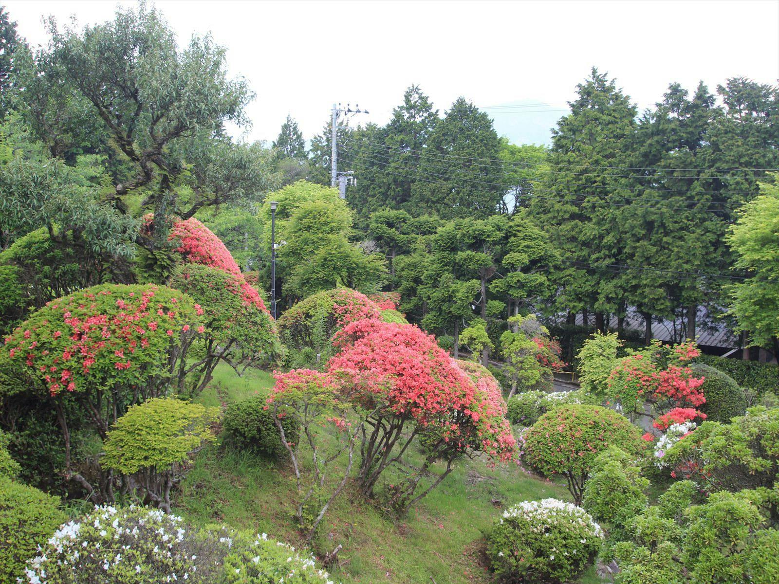 箱根湯宿　然-ZEN-