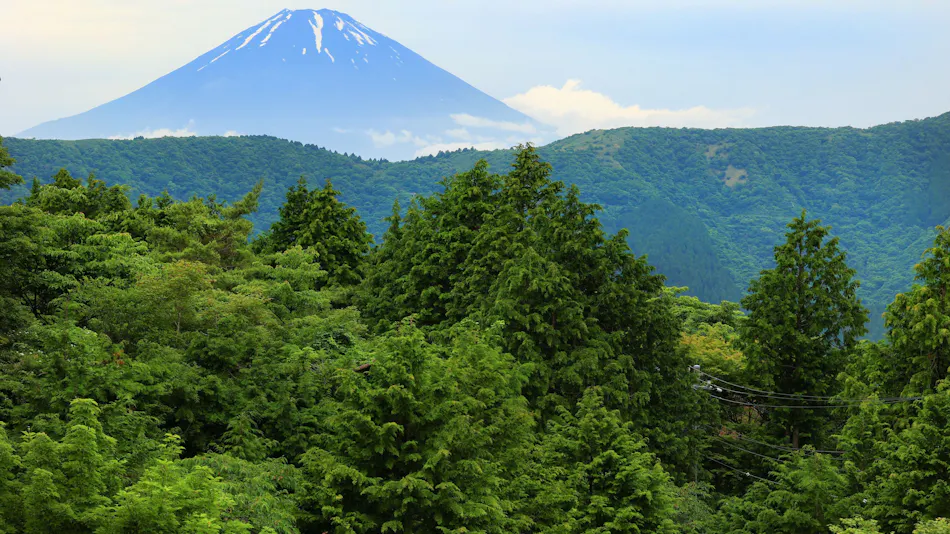 Hakone Yuyado Zen-ZEN-