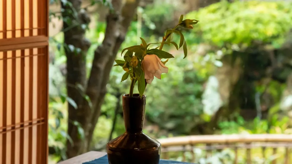 Iwai Onsen Iwaiya