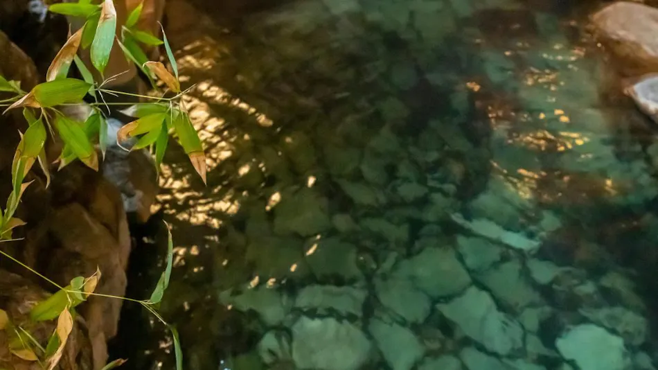 Iwai Onsen Iwaiya