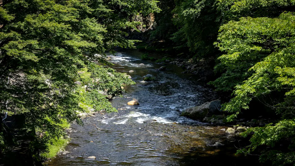 Yunohana Inn
