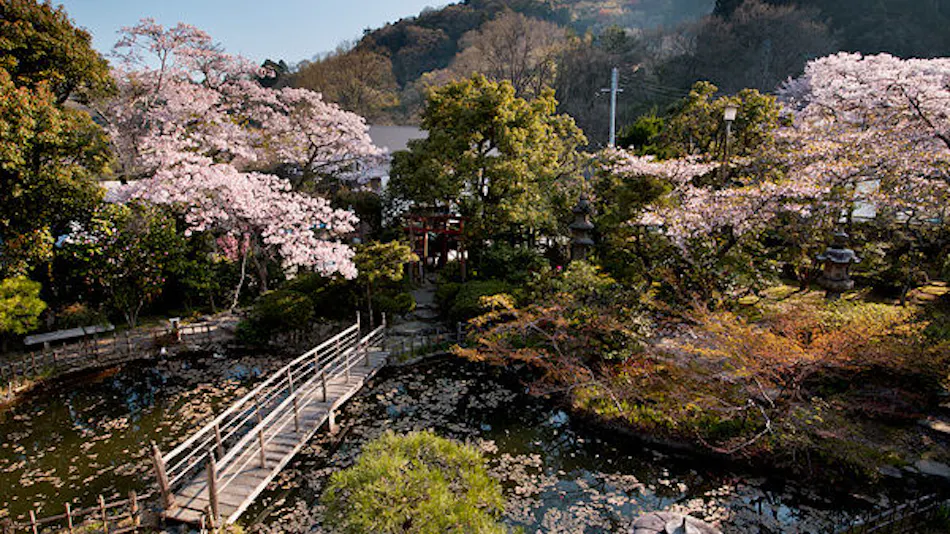 Amami Onsen Nanten-en