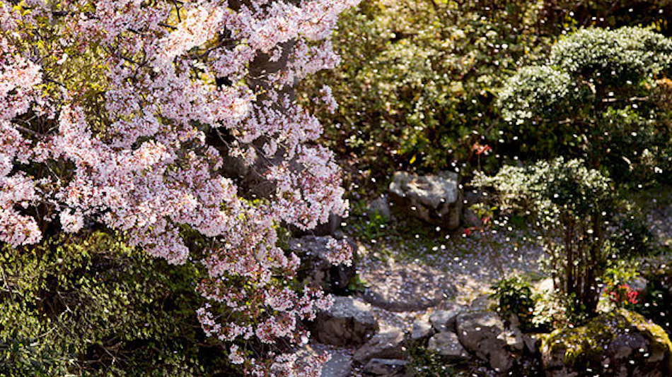 Amami Onsen Nanten-en