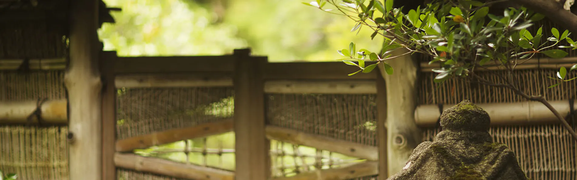 あまみ温泉 南天苑