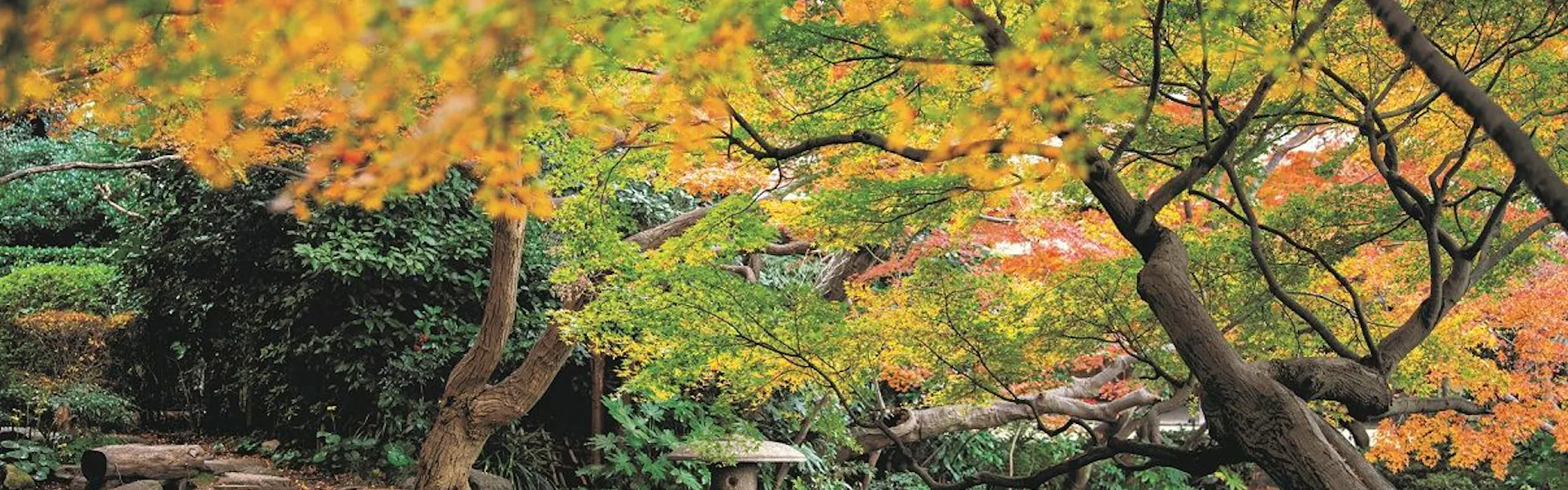 ホテルニューオータニ