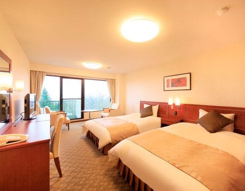 ナチュラルライトツイン