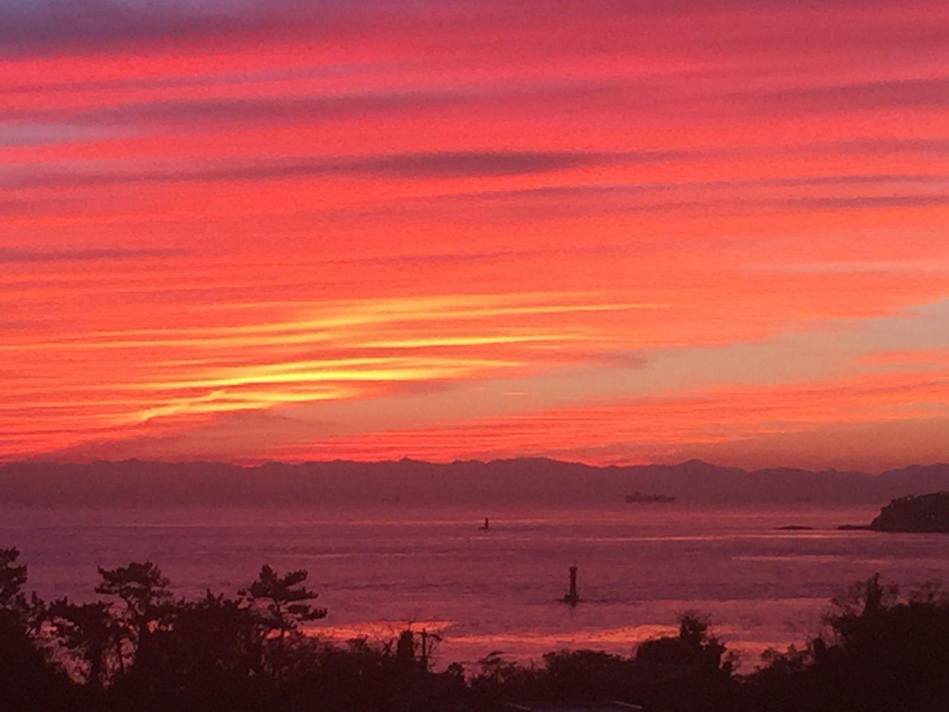 日間賀島　島別荘悠月